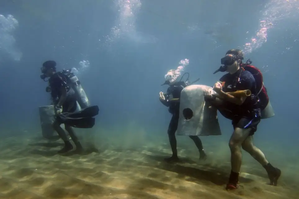 Marine Conservation Volunteer Program (Philippines) 4-24 weeks