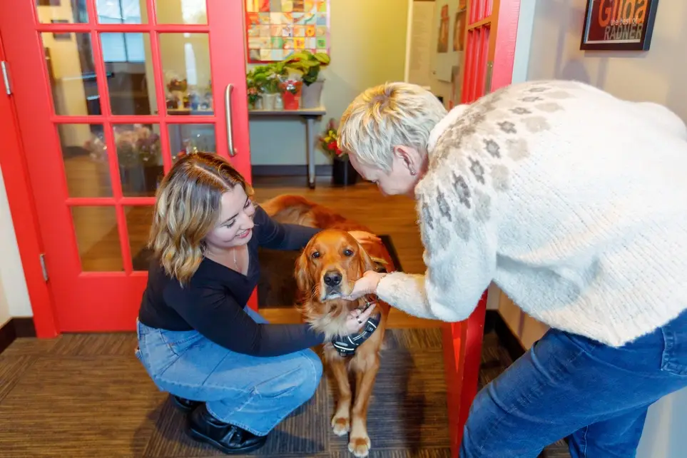 Graphic Designer for Fundraising Campaign