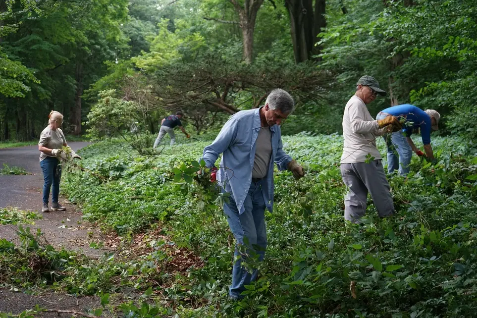 Landscape Volunteer