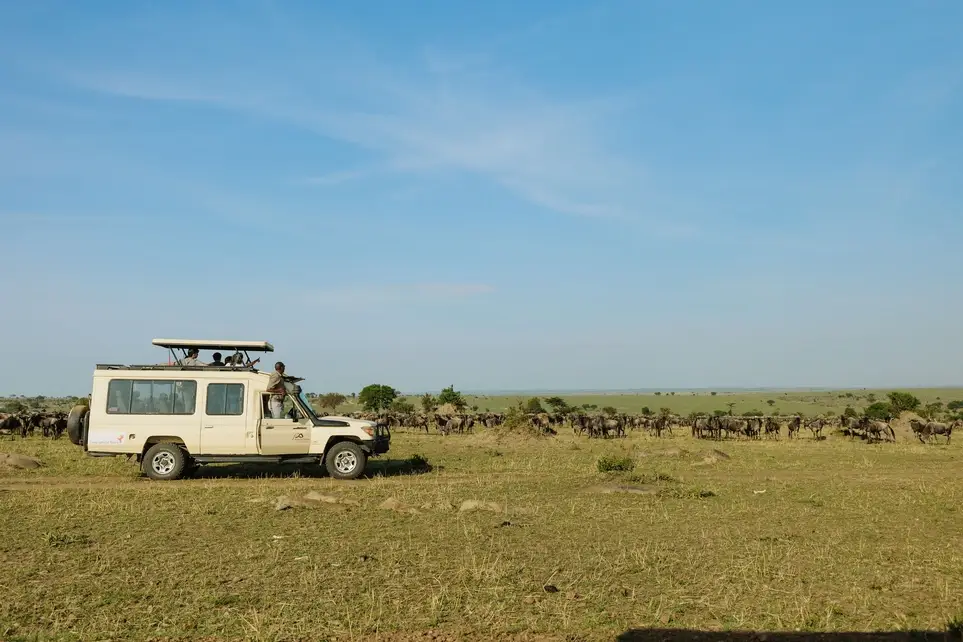 WILD ECOLOGY CONSERVATION