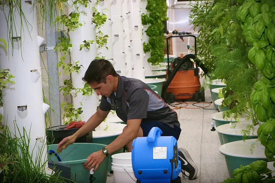 Switchpoint Greenhouse Garden - Helping the Homeless