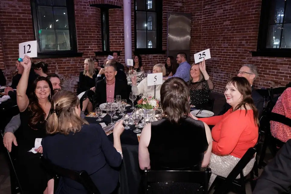 Volunteer at the Show Up & Shine for Kids Gala!