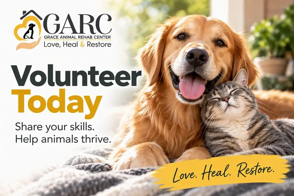 Volunteer Grant Writer Needed