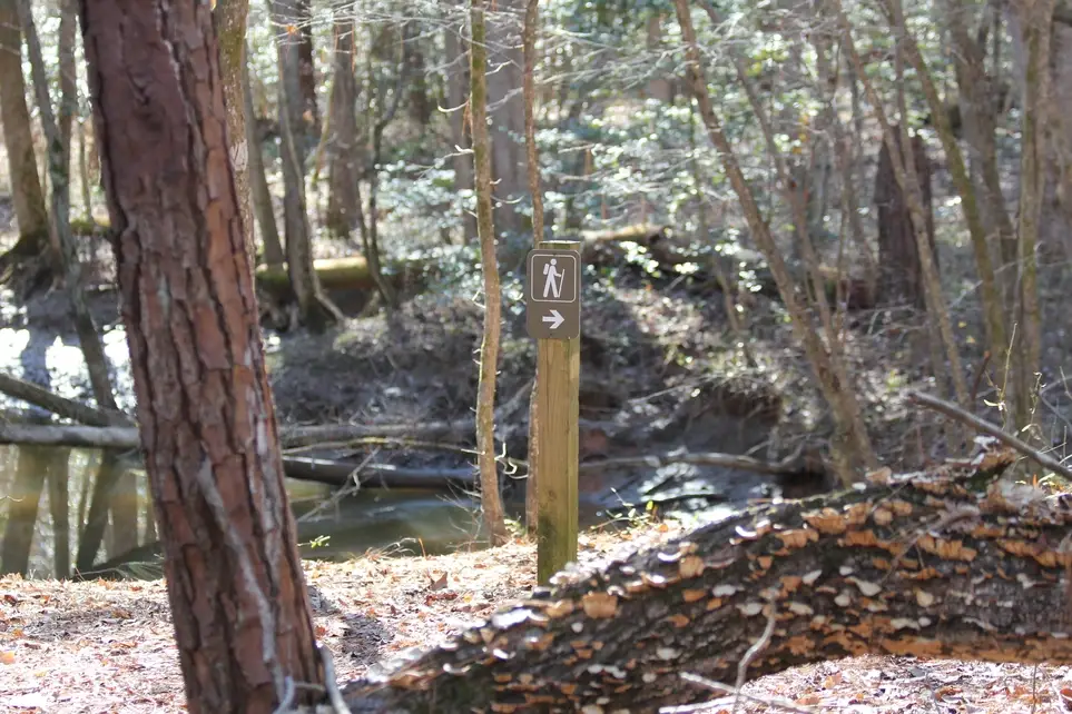 Virginia Fall Foliage along the Roanoke River