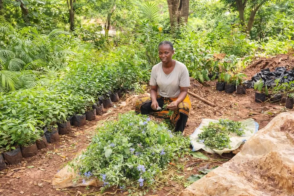 Tree Planting & School Greening with School Children (Tanzania)