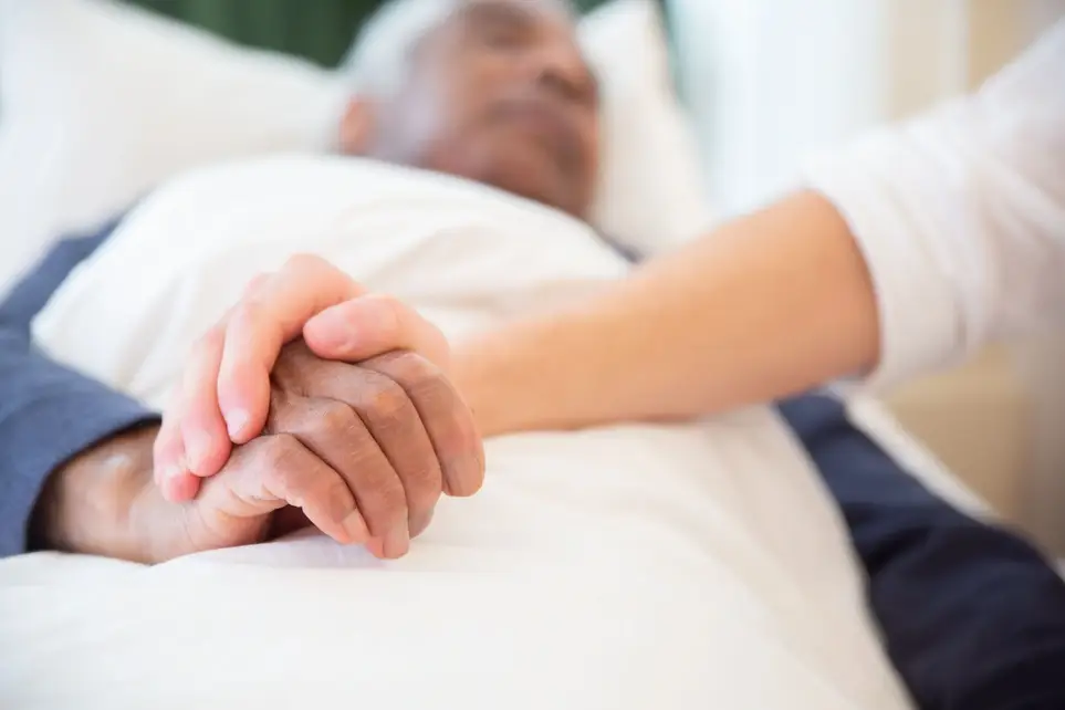 Hospice Volunteer Opportunity - 77029!