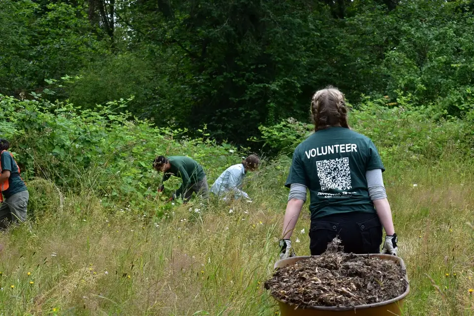 Promote Healthy Pocket Forests at Tacoma's Fern Hill - Join the June 27 Work Party!