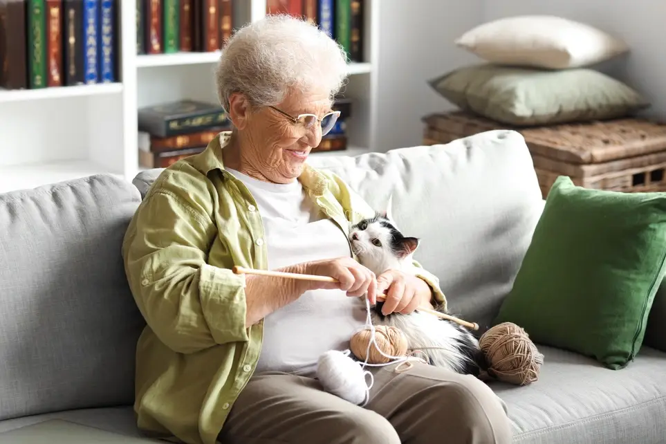 Paw Prints on Our Patients' Hearts