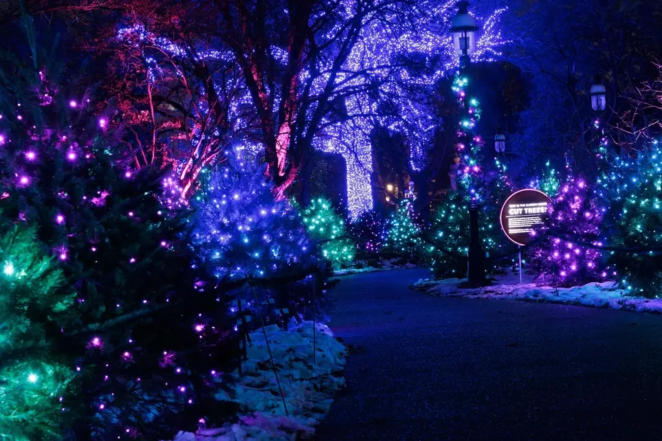 Garden Glow 2026