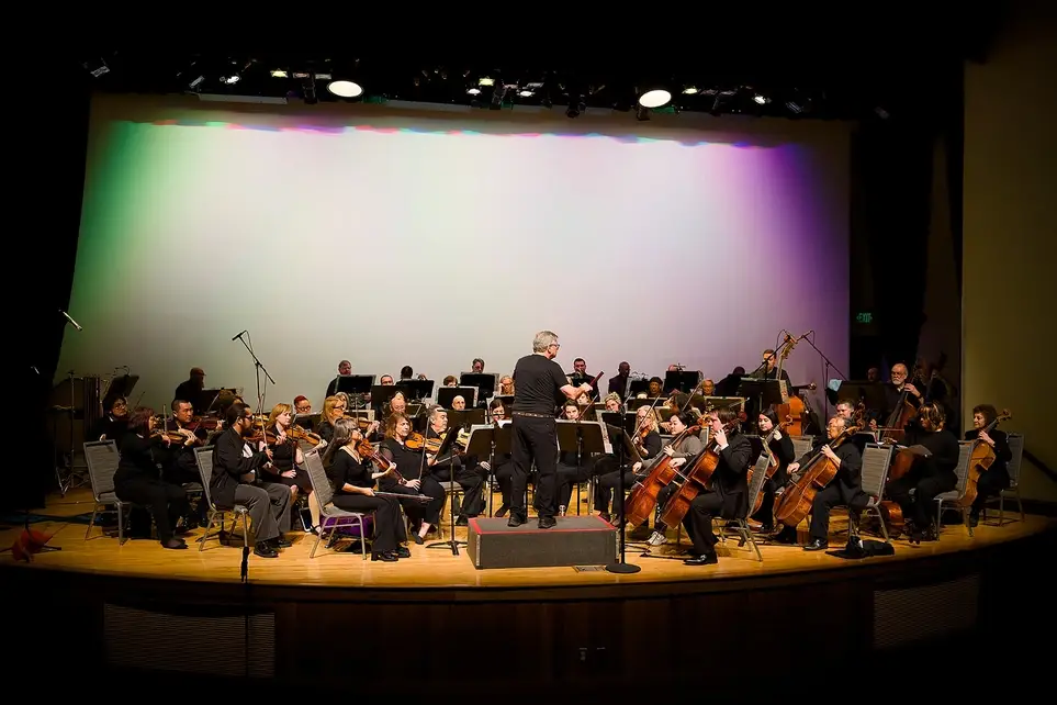 Social Media Volunteer for Orchestra