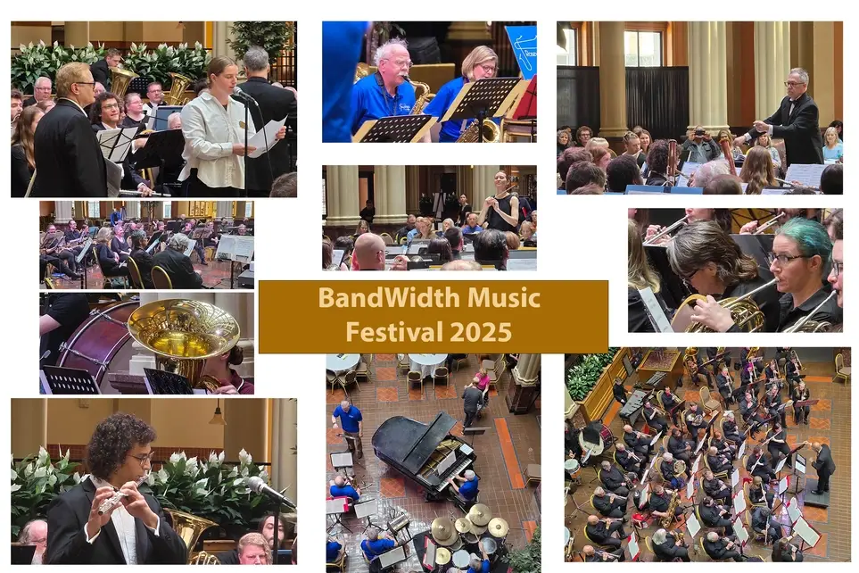 BandWidth Music Festival Attendee Experience associate