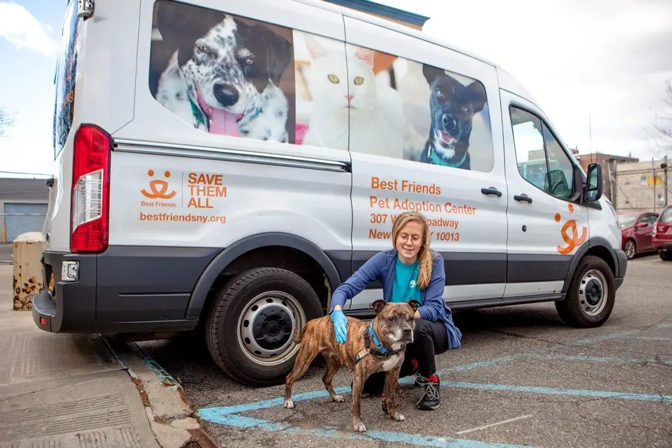 Charlotte, NC: Transport drivers needed to help shelter pets!