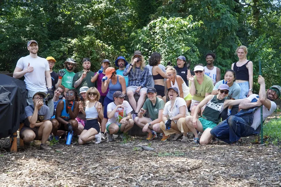 Board Member – Program & Operations Leadership