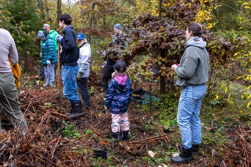 Plant Trees for Seattle Forest Week!