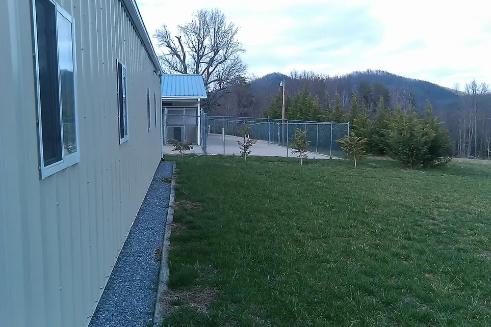 Animal Rescue Facility Cleanup & Care Volunteer