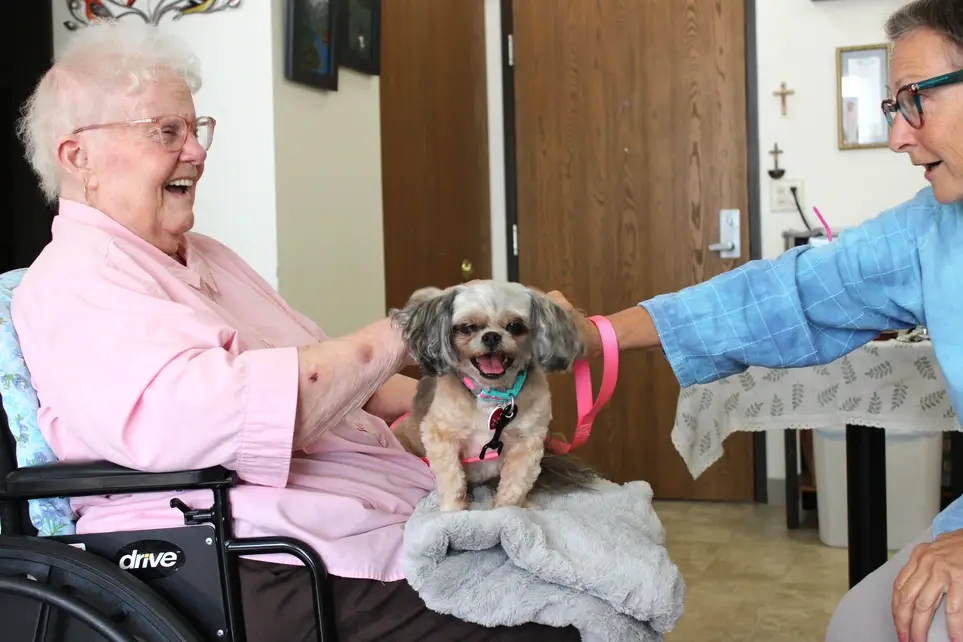 Hospice Pet Visitor Volunteer