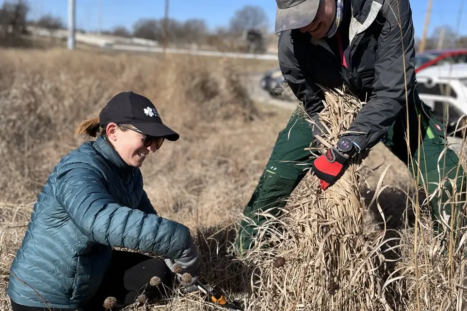 Help Prepare Native Plants for Spring Growth!