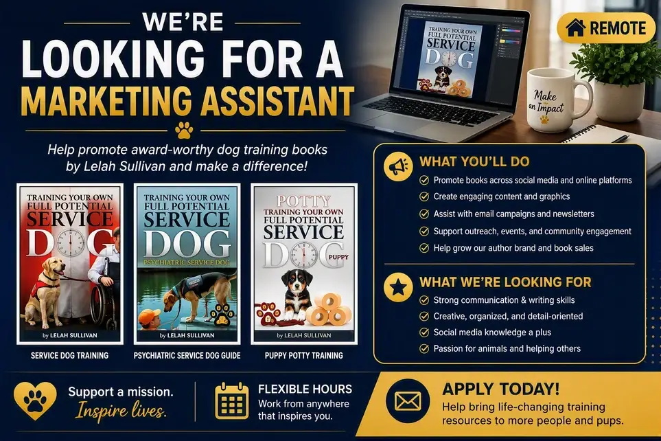 Marketing Assistant