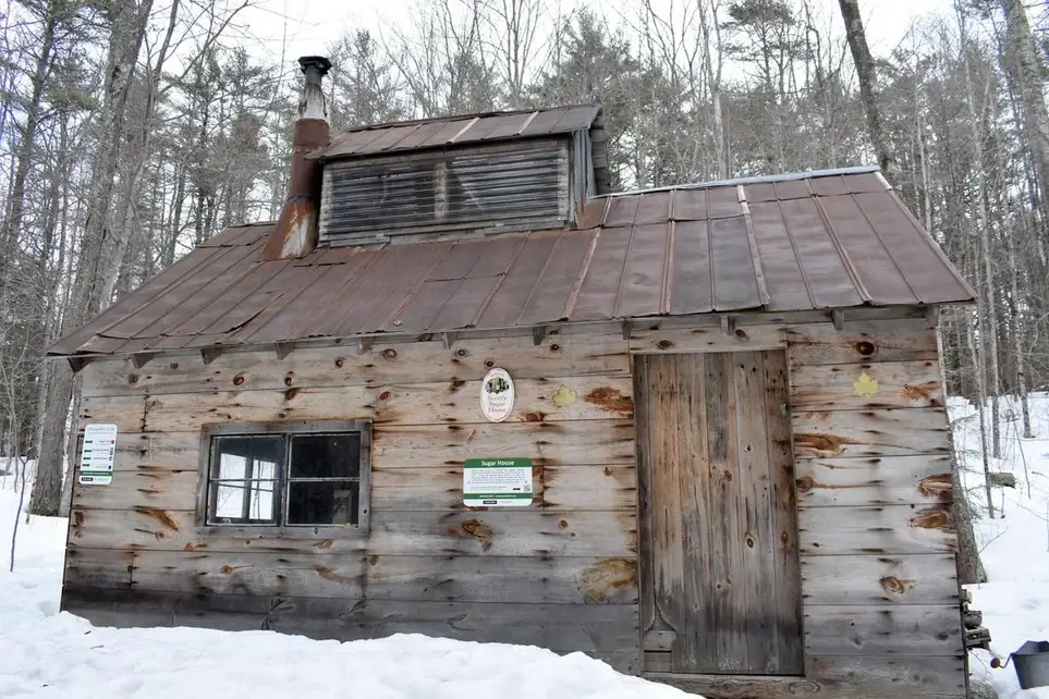 Maple Sugaring Volunteering