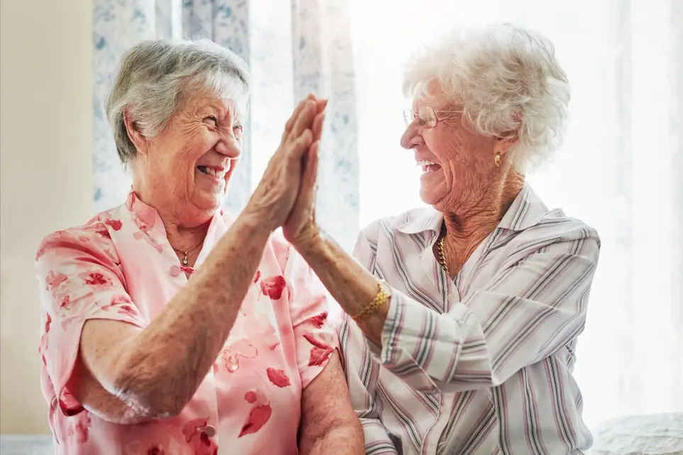 Companionship Volunteer needed in Kenosha, WI