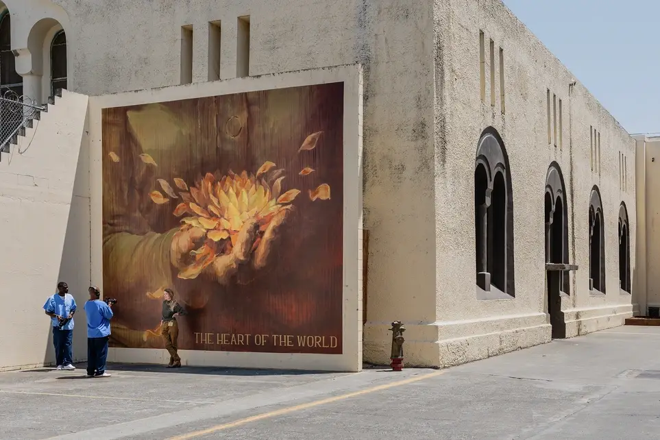 Finance & Bookkeeping Volunteer – Be the Backbone of a Bold Movement