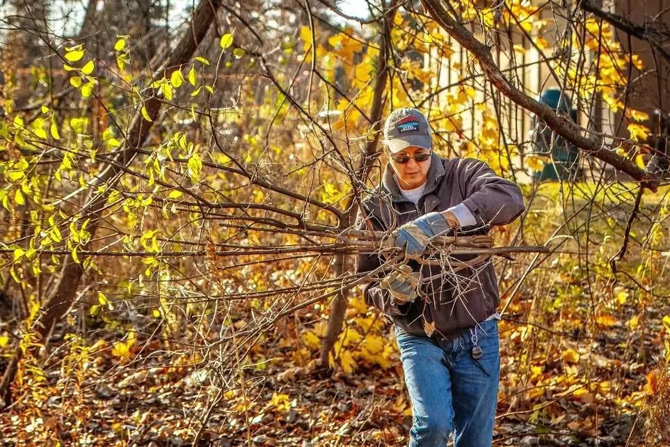 Buckthorn Drag and Stack at Materion Park