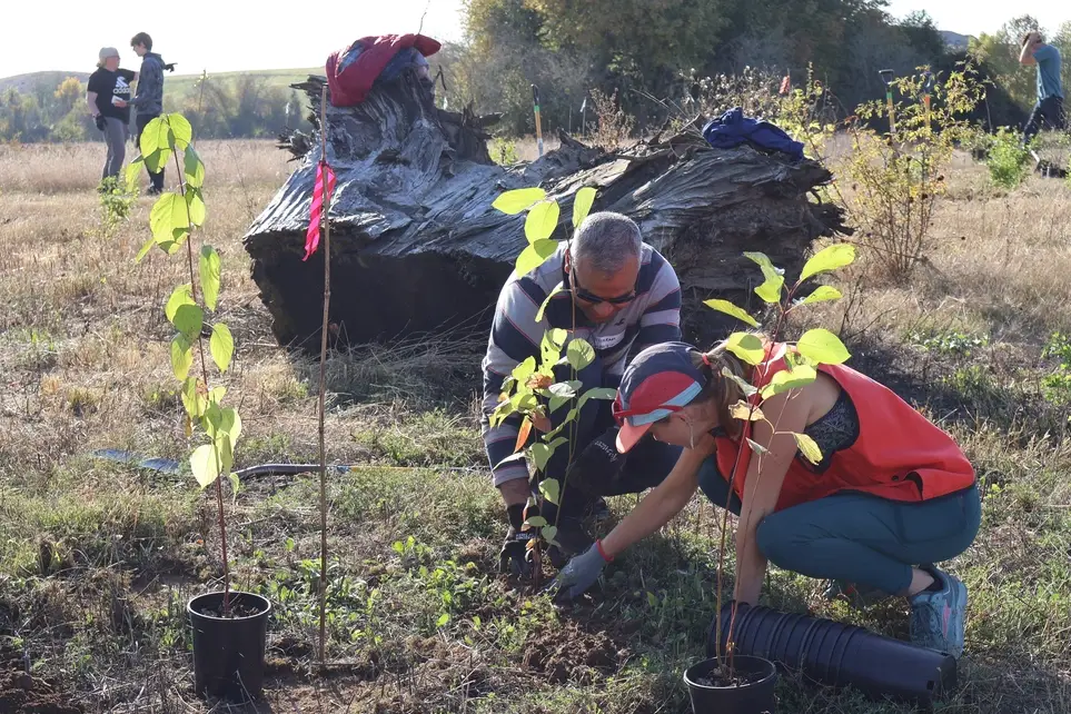 Help plant trees in Happy Valley!