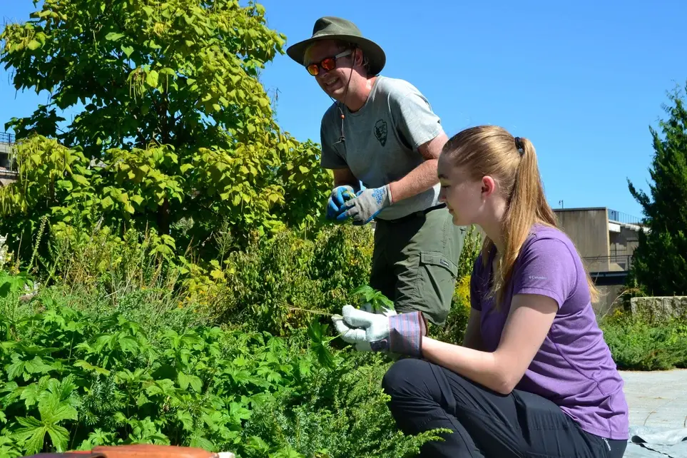 Drop-in Day of Service