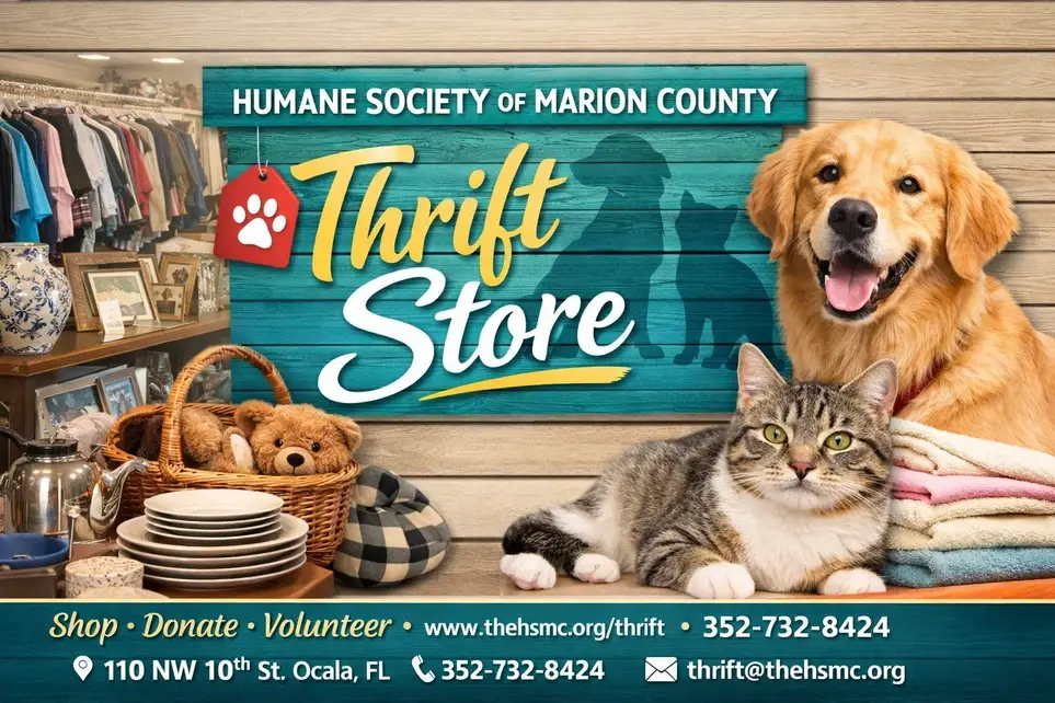 Long-term Volunteer Thrift Store