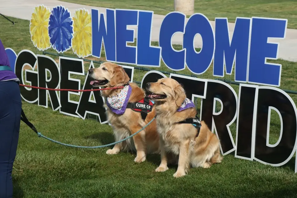 Great Strides Walk in Santa Clarita for the CF Foundation