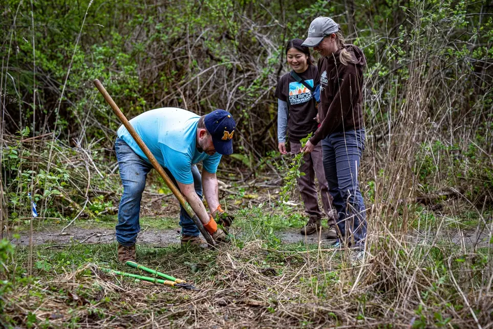 Restore Seattle's largest forest for Earth Day!