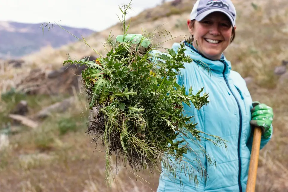 Wilderness Weed Warriors (June 16th)