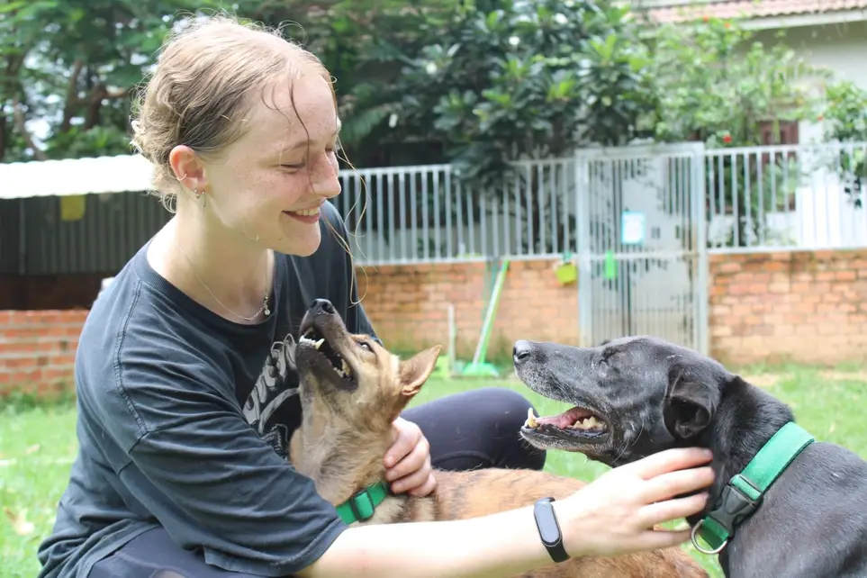 Volunteer Social Media Strategist (Remote)