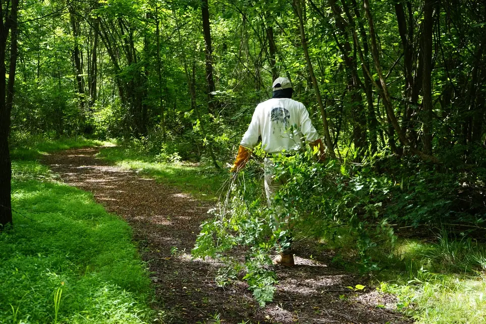 Stewardship Volunteer