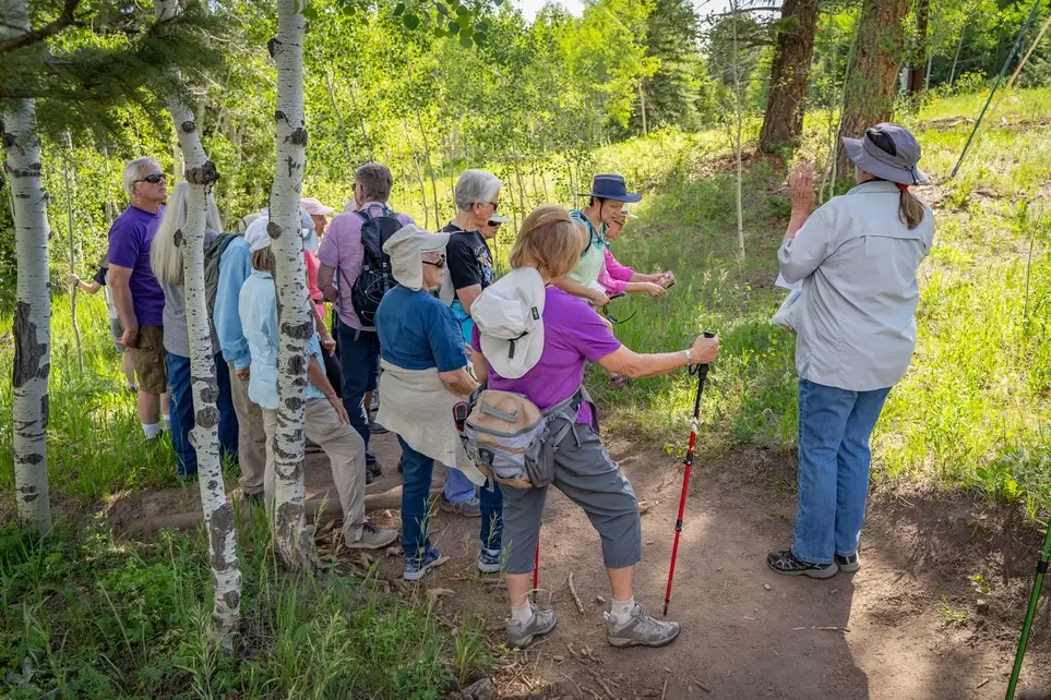 Nature Educator: Public Programs