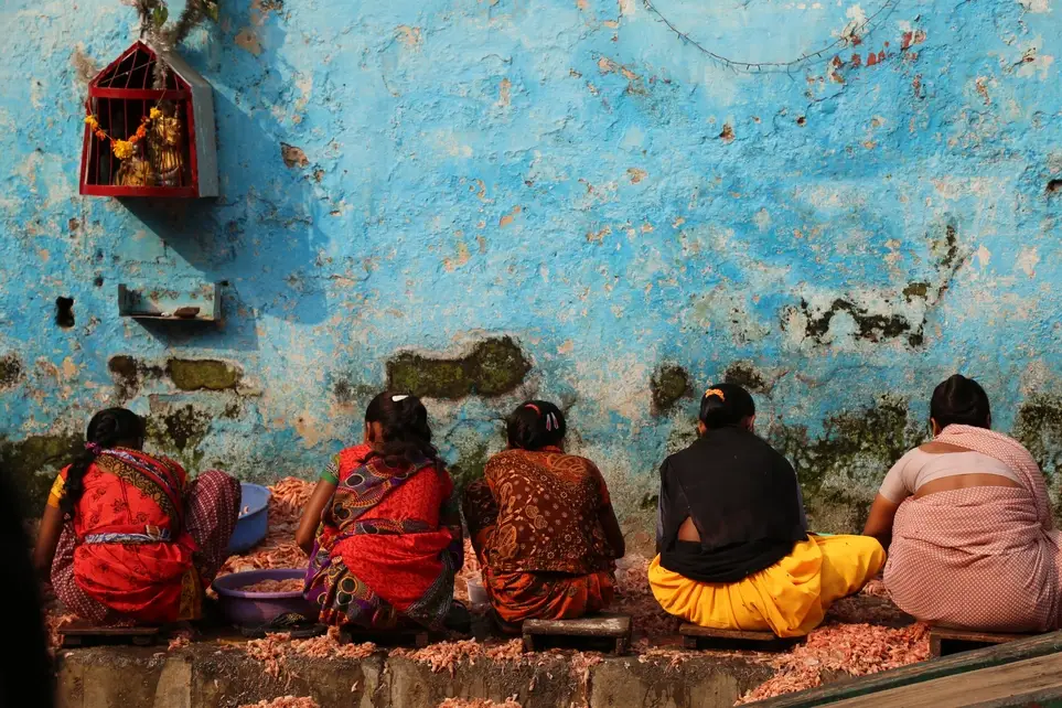 Opportunity to Offer  Your Expertise While Traveling Abroad (Pro Bono Consulting Projects Available  for High-Skilled Volunteers to Support Vetted and Verified NGOs)--11 Host Organizations in India