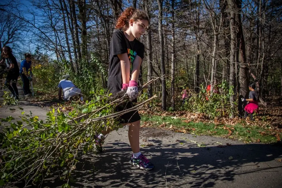 Lowry Nature Center Buckthorn Removal (September)
