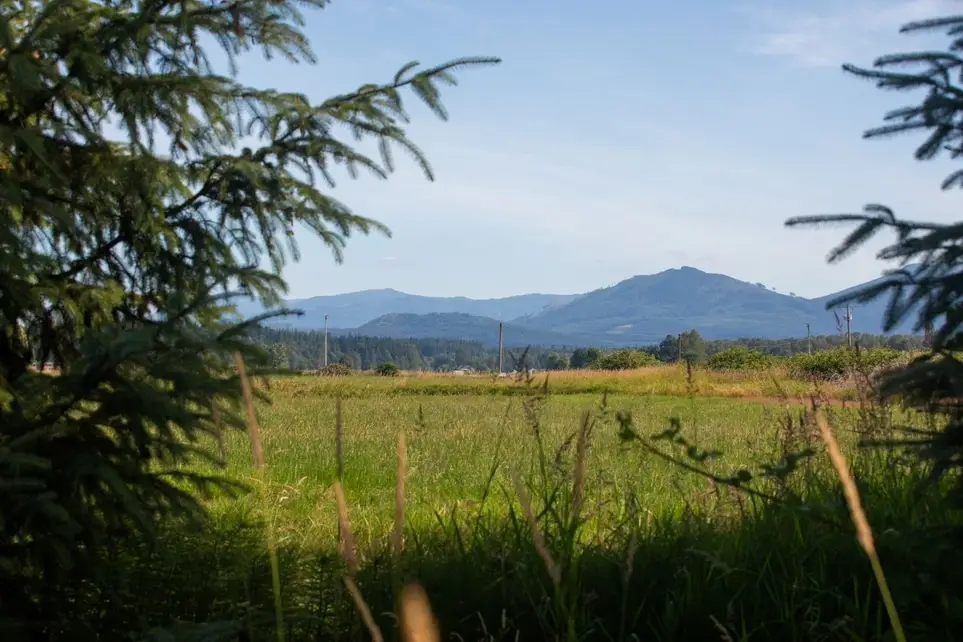 Friday, 9/25 - Create Habitat for Western Monarch Butterflies at Portage Creek Wildlife Area
