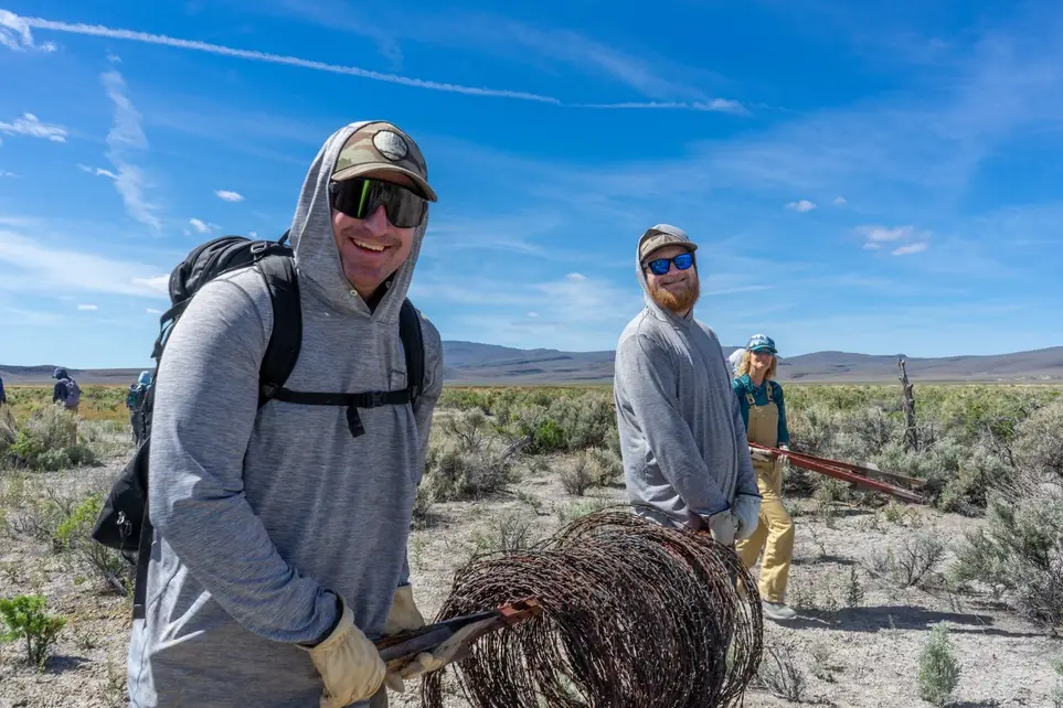 Sheldon Fence Removal