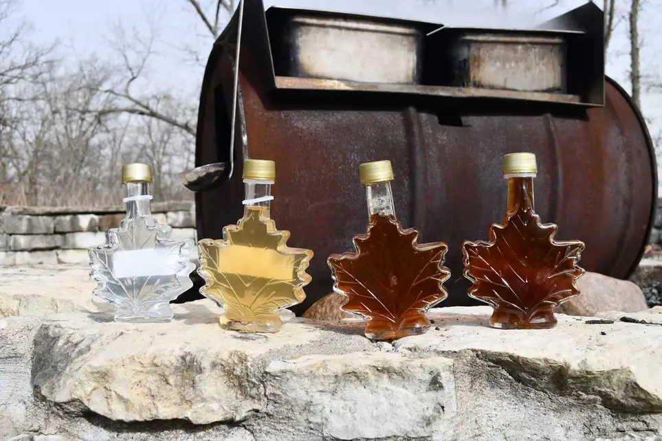 Maple Syrup Magic - Assistant
