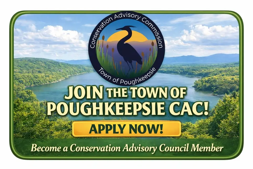 Volunteer Member - Conservation Advisory Commission (CAC)