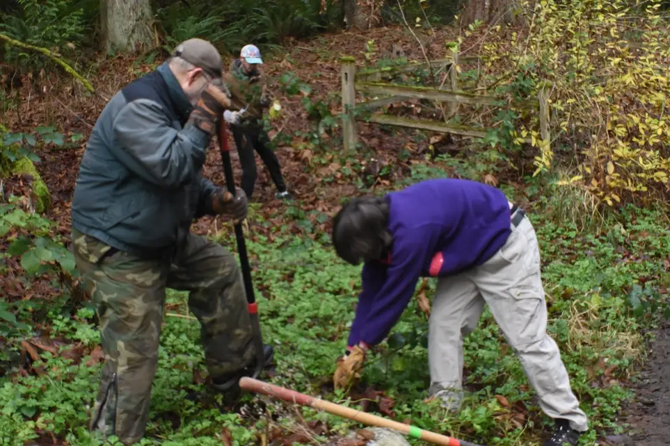 Defeat Dastardly Weeds @ Deadman's Pond - Join PCD's Feb. 6 Work Party!