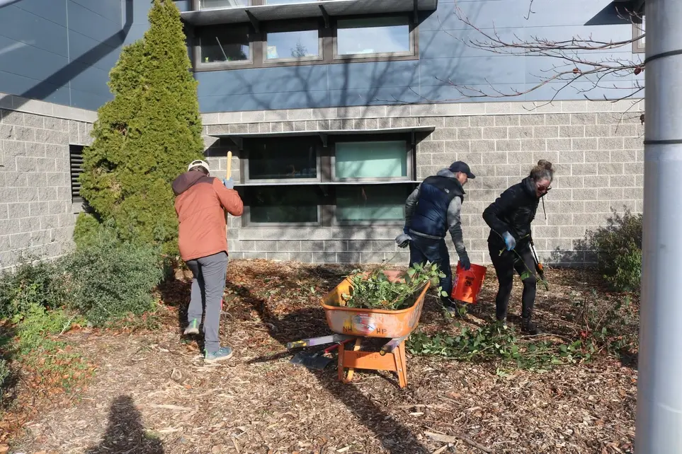 Volunteers Needed for MLK Day of Service-Neighborhood House Burndale Center (Auburn)