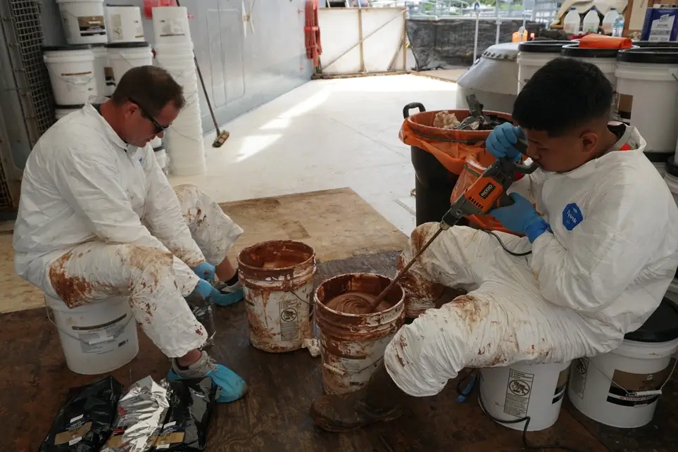 Be Part of the Teak Team as a Preservation Volunteer