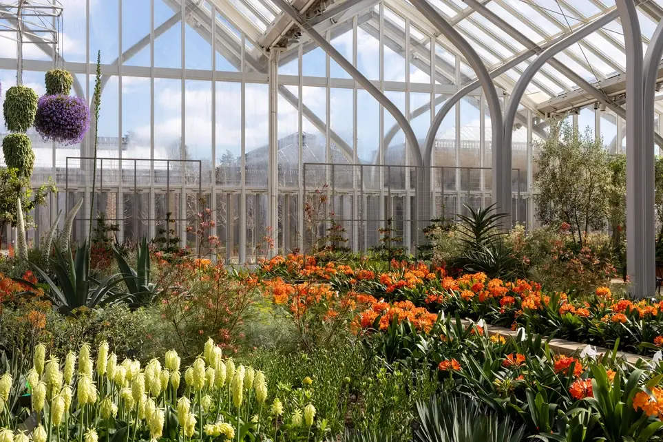 Longwood Gardens Conservatory Volunteer