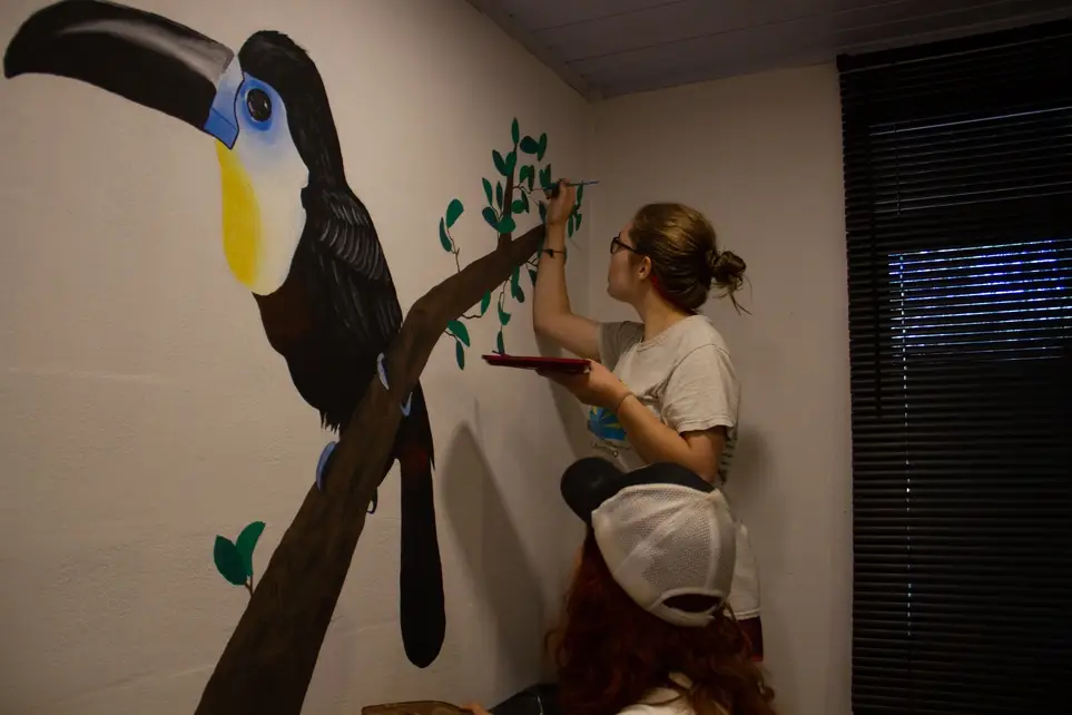 Artist/Painter/Mural - EcoPainter