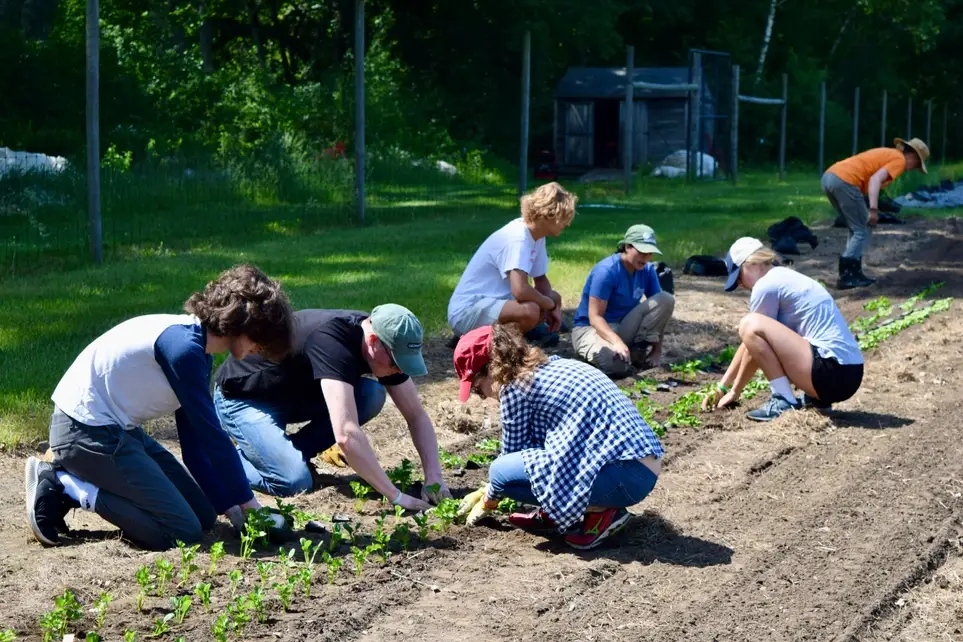 Help Grow Fresh Organic Produce for Hunger Relief