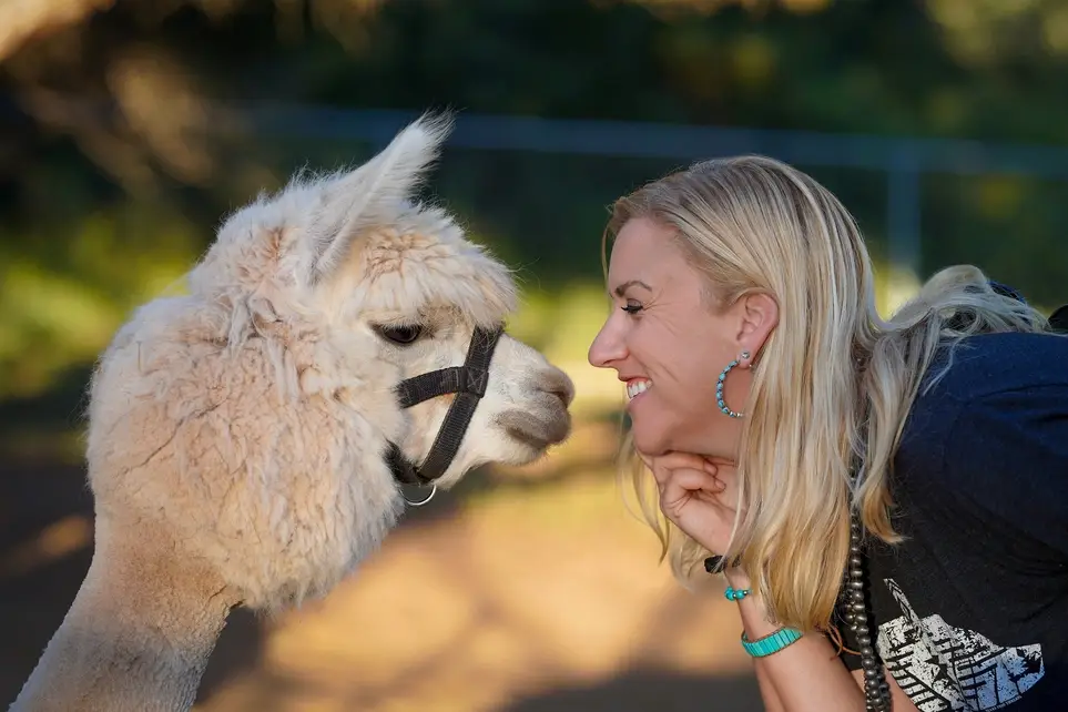 Sanctuary Development & Donor Steward