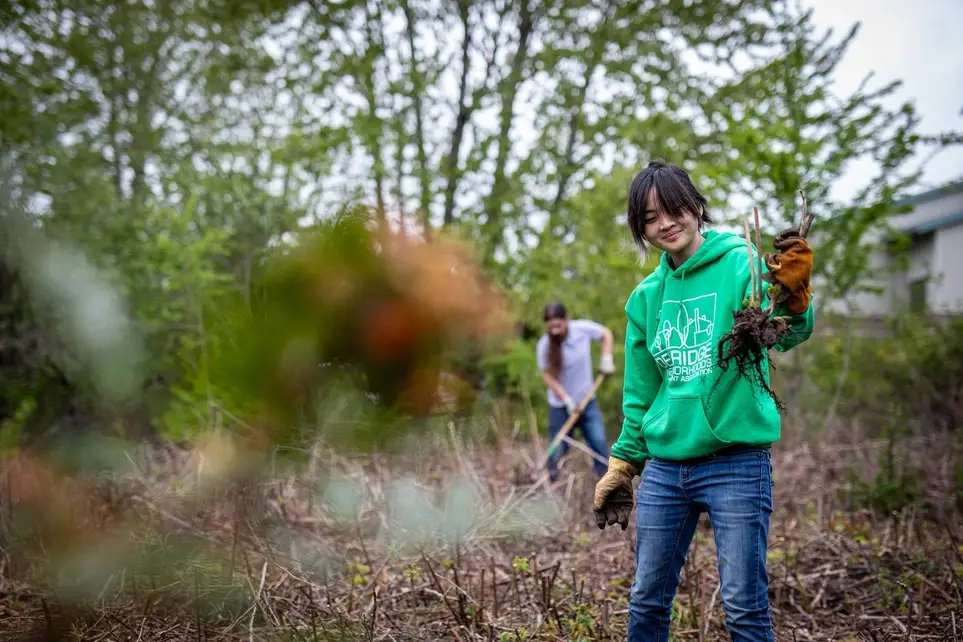 Plant Trees for MLK Day of Service