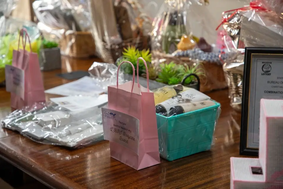 Sponsorship & Donations/Major Gifts Volunteer